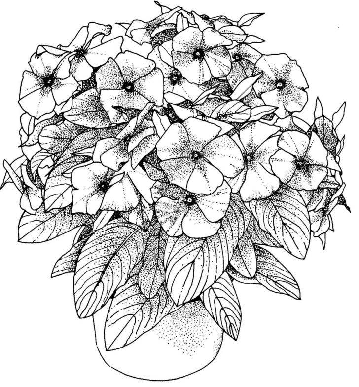 Flower Coloring Pages For Adults Best Coloring Pages For ...